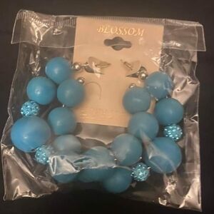 Tassel earrings, purses, wallets,shoes